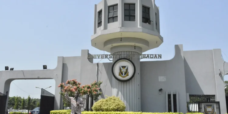 Nigerian Universities Make Their Mark in Global Rankings
